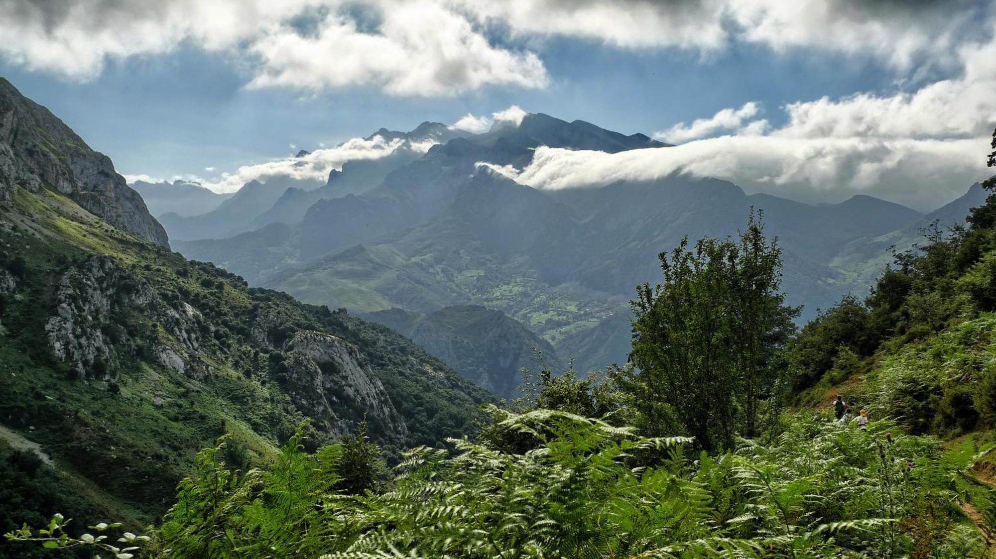 Valle Del Oso